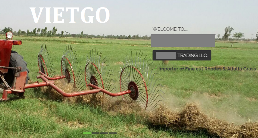 giaya4-vietgo-020219 